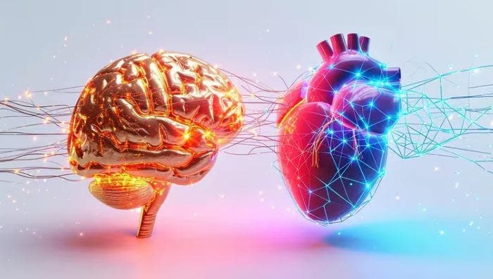 ¿Dónde reside el amor en el cerebro y cómo se activa? Un estudio lo revela