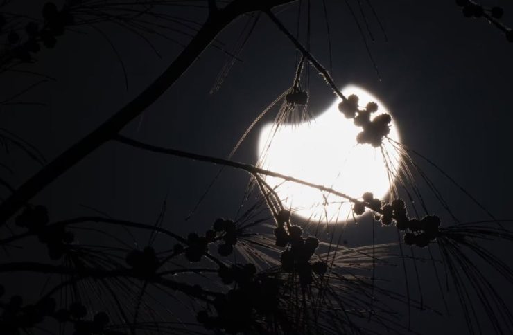 Eclipse solar parcial deslumbró este sábado en varias regiones del mundo