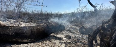 Controlan incendio en San Pedro de Macorís tras 10 horas de lucha