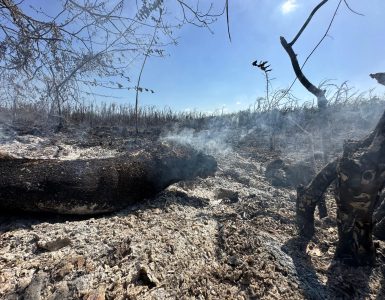 Controlan incendio en San Pedro de Macorís tras 10 horas de lucha