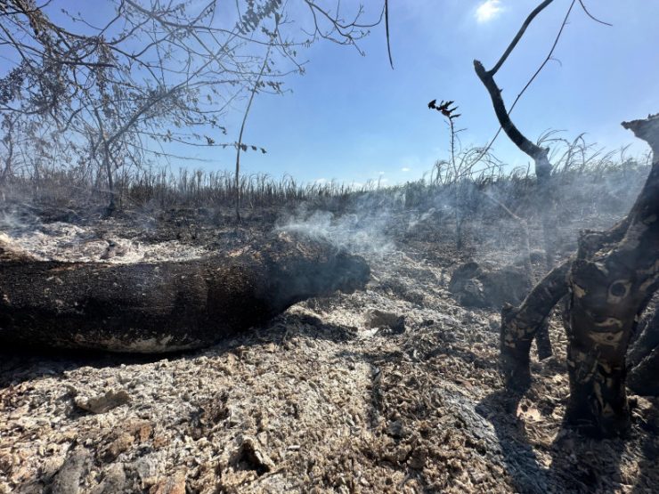 Controlan incendio en San Pedro de Macorís tras 10 horas de lucha